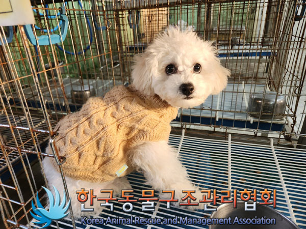한국동물구조관리협회_411306202300851